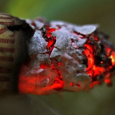 dsky2209's profile picture. 