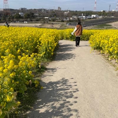 view_1126's profile picture. 