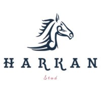 مربط حركان (@harkanstud) Twitter profile photo