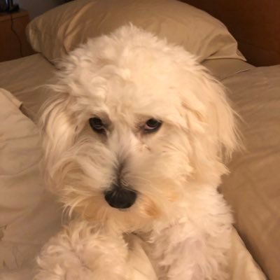 DrNeo07's profile picture. I said what I said