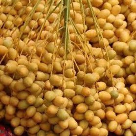 ArtPimpicha's profile picture. แค่คนธรรมดา..รีทวิตไปเรื่อย..เห็นแล้วชอบก็รี....