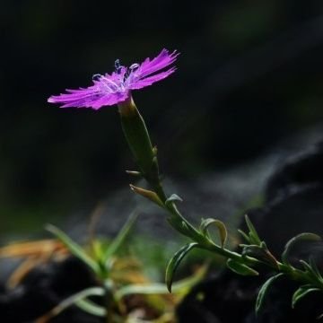 BqoTjn's profile picture. 농사짓는 자생 문파 #ㄷㅡ6 이니여니사랑. 찢빠는 국짐보다 경멸함