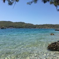 Barış (@barrrish) 's Twitter Profile