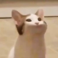random (@_random016) 's Twitter Profile