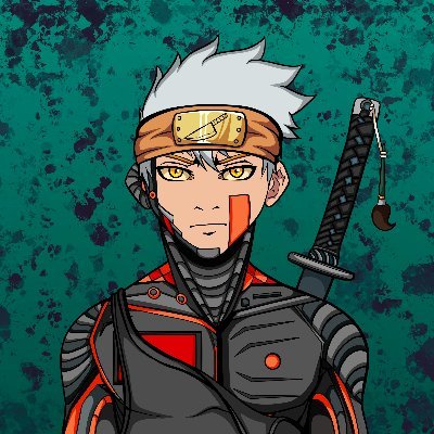 The Tech Ninja Profile