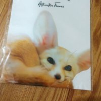 🦊Mizukiriフェネック🦊1/24福岡BILLYBOO・1/25福フェス (@fennec_mizukiri) 's Twitter Profile Photo