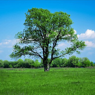 Rahulk1010's profile picture. 