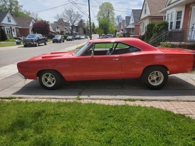 Judy57608631's profile picture. world is nuts.  Here for the funny stuff, cute animals & Paul Stanley