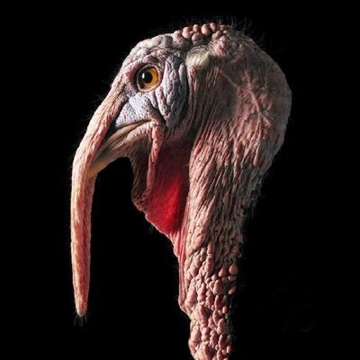 camilo restrepoさんのプロフィール画像