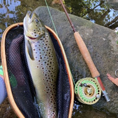 greysriver's profile picture. Engineer. Tie the flies. Fish the flies.