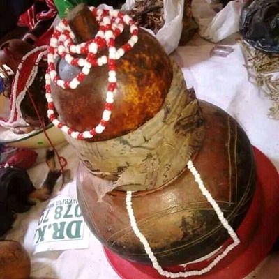 STRONG TRADITIONAL HERBALIST