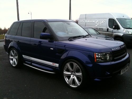 ecocarvaleting's profile picture. 