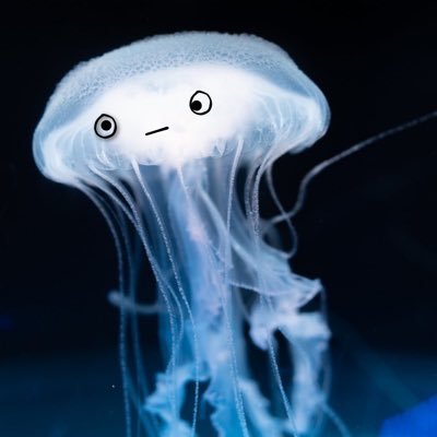 KENPIさんのプロフィール画像