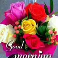 jagadeesh jagga (@pgrjagadeesh91) 's Twitter Profile