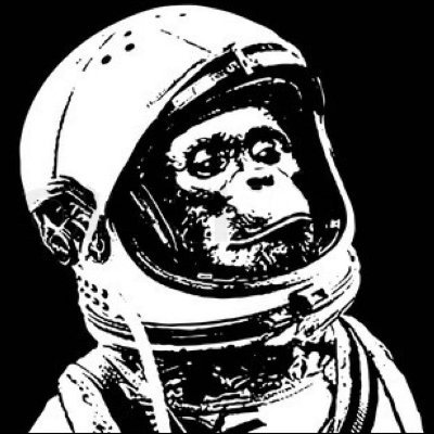 bad_spacemonkey Profile Picture