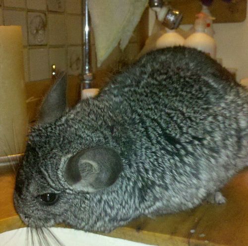 AAM80's profile picture. 