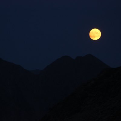 joui13's profile picture. 