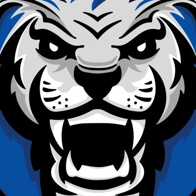 LionsNationU Profile Picture