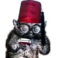 @thattommyhall.com (@thattommyhall) 's Twitter Profile