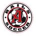 Altoona/Fall Creek Boys High School Soccer (@AltoonaWISoccer) Twitter profile photo