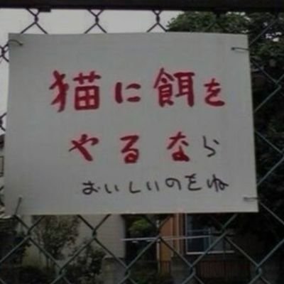 マリアッチ うぇーい على تويتر 左 遠藤憲一 俳優界の宮迫博之 右 宮迫博之 お笑い界の遠藤憲一 Http T Co Oqawnkaiby マリアッチ うぇーい على تويتر 左 遠藤憲一 俳優界の宮迫博之 右 宮迫博之 お笑い界の遠藤憲一 Http T Co Oqawnkaiby
