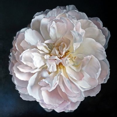 I am a fine artist living and working near Salisbury, UK. I work in oils and favour portraiture and still life as my subject matter.