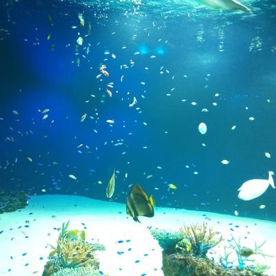 OI5eib2lvJDo6HG's profile picture. うなです。