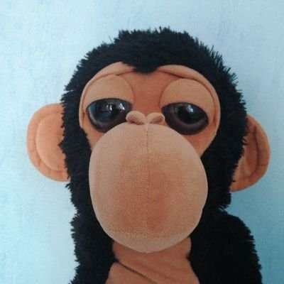 Raphifoufi's profile picture. Chepa