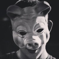 SWINE (@swineweare) 's Twitter Profile