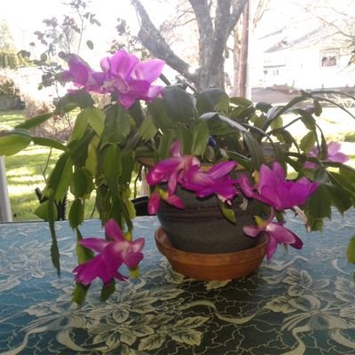 RebekahM1059's profile picture. 