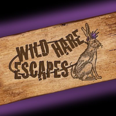 We at Wild Hare Escapes have one goal: to provide the best, most entertaining online escape room experience we possibly can. Or die trying.