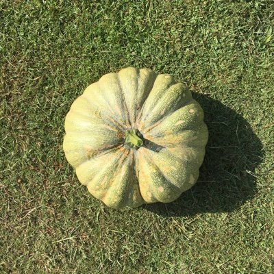 ibrahim_salaria's profile picture. I came here for the news.