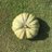 ibrahim_salaria's profile image