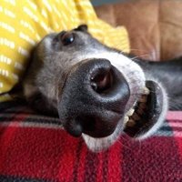 fiona s (@seery_fiona) 's Twitter Profile Photo fiona s (@seery_fiona) 's Twitter Profile Photo