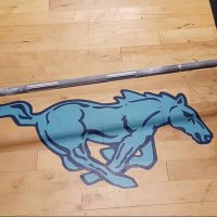 Memorial Mustangs Strength & Conditioning(@MemorialStrong) 's Twitter Profile Photo