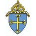 The Northern Cross (@tnccatholic) Twitter profile photo The Northern Cross (@tnccatholic) Twitter profile photo