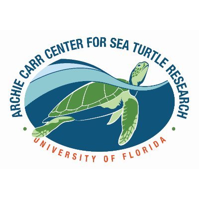 Seeking innovative solutions for sea turtle conservation through research and education 🌊🐢🌍 | Research Institute @UF_CLAS @UF