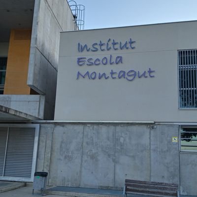 IEMontagut Profile Picture