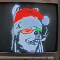 struggler pardo (@pardojerusalem) 's Twitter Profile