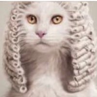 Tired Barrister(@TiredBarrister) 's Twitter Profile Photo