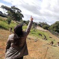 May Carrascal (@farma_cea) 's Twitter Profile
