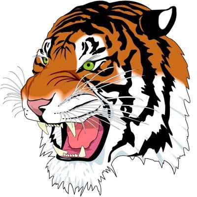 herrinathletics Profile Picture