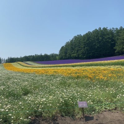 fuxudexi's profile picture. 眼科専門医。筋トレをがんばります