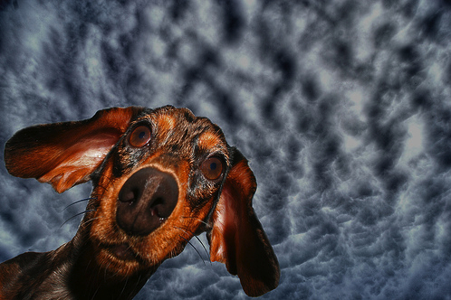 jordanders0n's profile picture. 