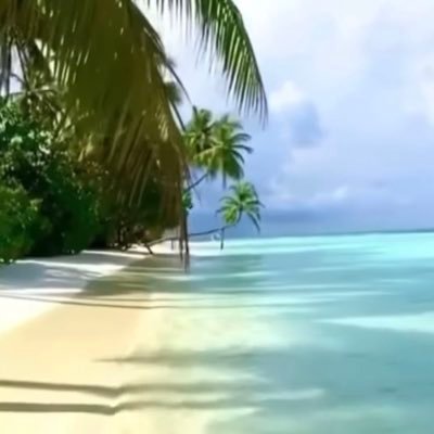 Montblack222's profile picture. Seguiré respirando pues mañana volverá a amanecer