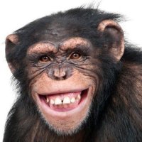 Naitsirk (@naitsirk_22) 's Twitter Profile Photo
