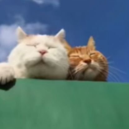 Louis36806742's profile picture. 19 year old