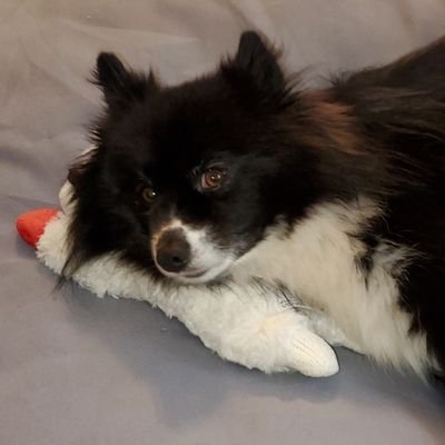 sangerwahoo's profile picture. 