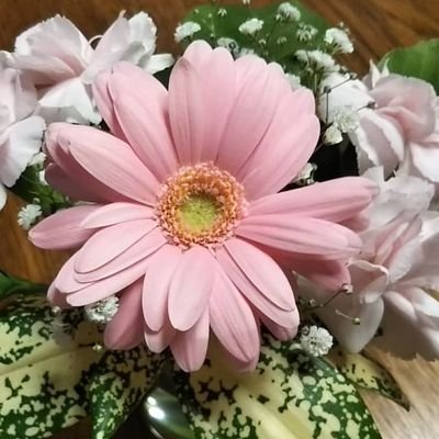 O1aKjYzNju3d6Ov's profile picture. 東方神起の二人を応援📣
カズラジリスナー❤
トンラジランアンドウォーク同好会