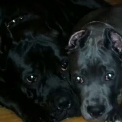 Joellec123's profile picture. 